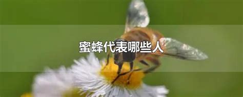 如何去除發霉 蜜蜂代表什么